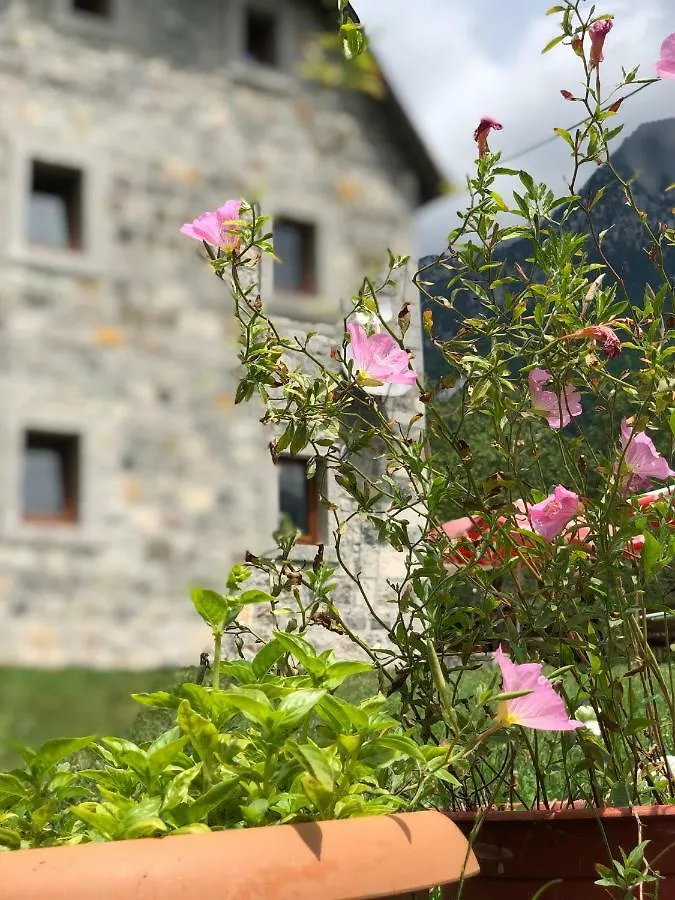 Molla Guest House Theth